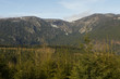 hautes vosges