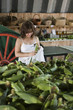 Cumpărături femeie pentru porumb pe piaţa agricultorilor