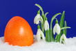 Foto: osterei im schnee osterei im schnee