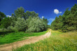 Beautiful summer landscape Beautiful summer landscape