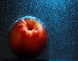 fresh nectarine