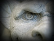 Gargoyle Statue Gargoyle Statue