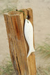 Foto: Strandurlaub Strandurlaub
