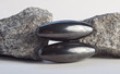 Magnets And Stones