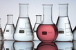 lab