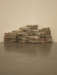 newspapers