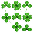Set of different clovers