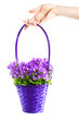Woman hand holding basket