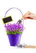 Care of basket with flowers