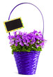 Flowers in basket