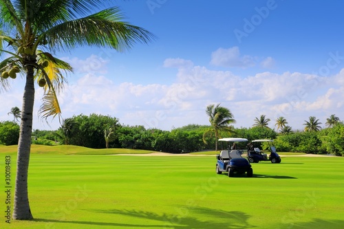 Photo: golf course tropical palm trees in Mexico golf course tropical palm trees in Mexico