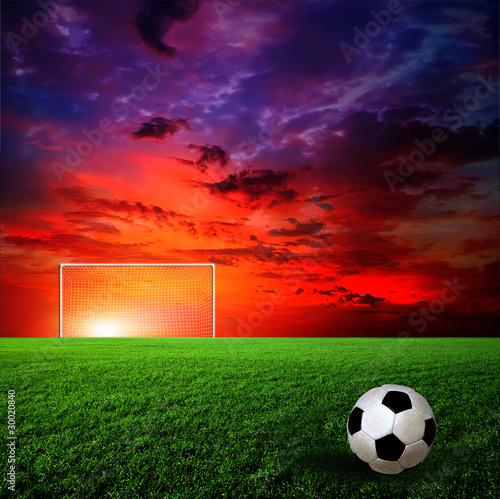 Photo: meadow meadow