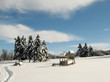 winter wonderland