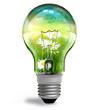 Ecological concept