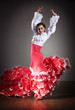 Flamenco dancer in beautiful dress