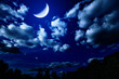 night summer forest with and bright large moon in dark sky