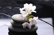 therapy stones with white flower