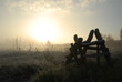 Foto: Sunrise at meadow Sunrise at meadow