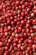 Roter Pfeffer-Hintergrund