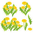 Dandelion design set
