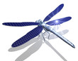 Libelle_solar