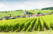 Hunawihr, Alsace, France Hunawihr, Alsace, France