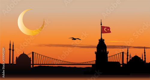 Vektor: Silhouette of Istanbul at sunset Silhouette of Istanbul at sunset