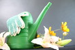 Blumenkanne