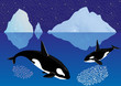 Whales among the icebergs