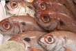 Fischmarkt