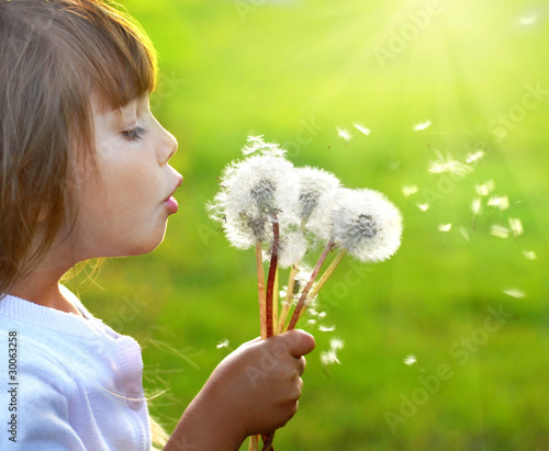 Photo: Summer wishes Summer wishes