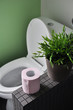 Toilettes Salle de bain