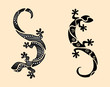 gecko tribal