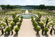 The orangerie of versailles