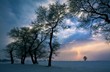 Winter landscape