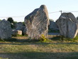 Menhirs de Kermario, Carnac, Bretagne