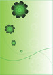 Shamrock background