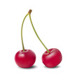 Two cherries vector illustration. Two cherries vector illustration.