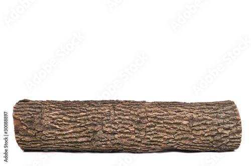 Foto: Isolated stub log with wooden texture Isolated stub log with wooden texture