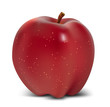 Ripe red apple vector illustration. Ripe red apple vector illustration.