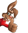 Vetor: easter bunny thumbs up easter bunny thumbs up