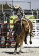 Rodeo Competitor