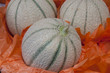 Melons