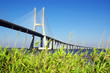 Vasco da Gama Bridge