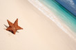 Red starfish on a sand beach Red starfish on a sand beach