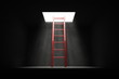 Exit the Dark - Red Ladder to the Light
