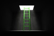 Exit the Dark - Green Ladder to the Light