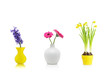 Spring flowers Spring flowers