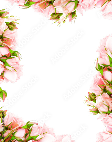 Photo: Fresh roses frame Fresh roses frame