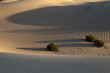 Mesquite Dunes ,Death Valley,National Park